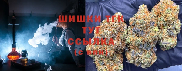 дмт Кукмор