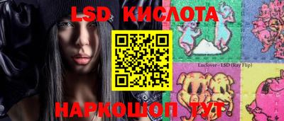 шишки Беслан
