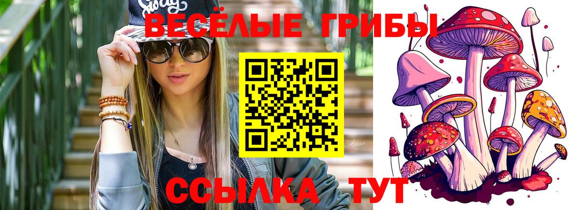 Новороссийск  купить наркотик  Вход с VPN  Псилоцибиновые грибы ЛСД  Галлюциногенные грибы прущие грибы 