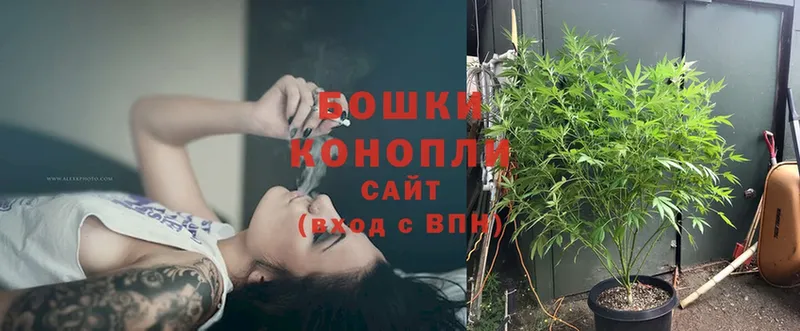 Каннабис Ganja  нарко площадка состав  Новороссийск 