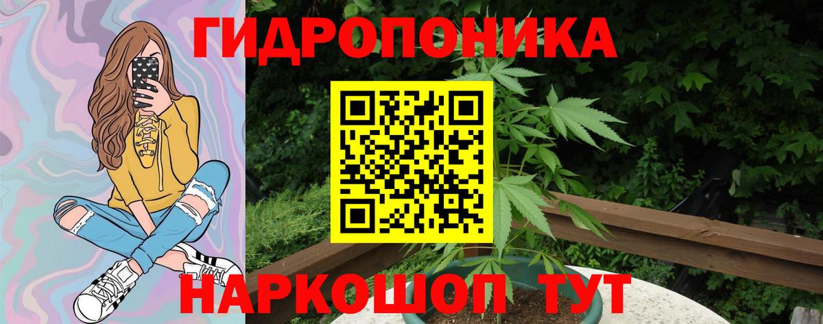 Марихуана Ganja  Шишки марихуана VHQ  Новороссийск  Вход с VPN  Шишки марихуана сатива 